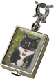 Silver Memorial Jewelry Victorian Glass Rectangle Locket