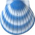 Wholesale Biodegradable Urns: Burial-At-Sea Shell Aqua