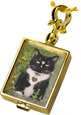 Wholesale Gold Pet Cremation Jewelry: Victorian Glass Rectangle Locket