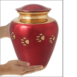 wholesale dog urn- red with brass pawprints large