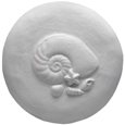 Wholesale Circle of Life Eco Urn: Spirit of the Sea (Nautilus Shell)