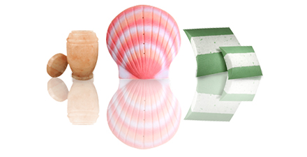 variety of water biodegradable urns shown