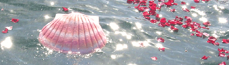 burial-at-sea shell biodegradable urn shown in peaceful lake with rose petals
